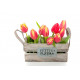 Sticker tulipes en cagette