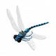 Sticker libellule bleue