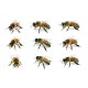 Sticker lots abeilles et guêpes