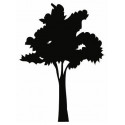 Stickers Arbres de vie