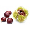Stickers Chataigne et marron