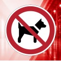 Animaux interdit 