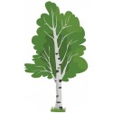 Stickers Arbre bouleau