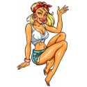 Stickers Pin up