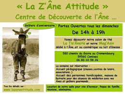 Sticker - La Z'Ane Attitude nous ont fait confiance ! Pour leurs stickers La Z'Ane Attitude nous ont fait confiance !
